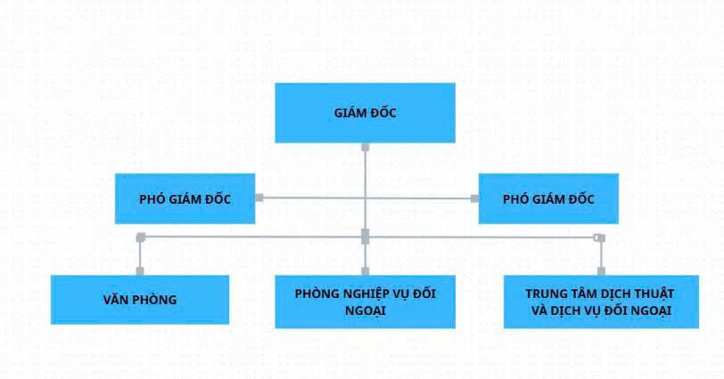 Cơ cấu tổ chức